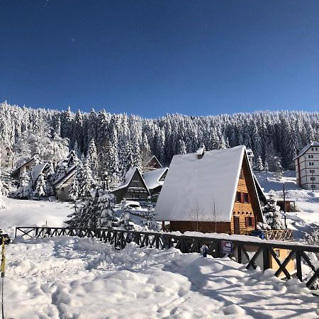 Vila Irina - Apartman Milos Копаоник Екстер'єр фото