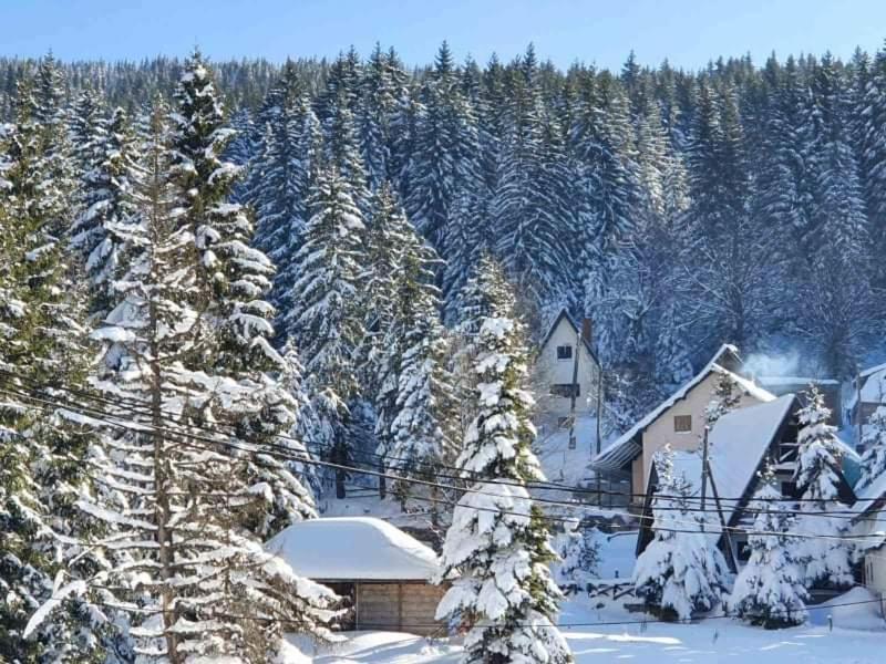 Vila Irina - Apartman Milos Копаоник Екстер'єр фото