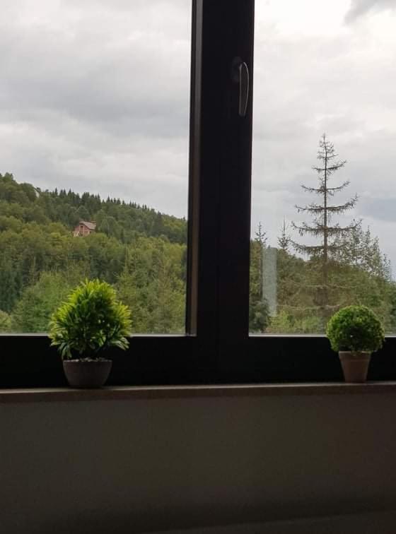 Vila Irina - Apartman Milos Копаоник Екстер'єр фото