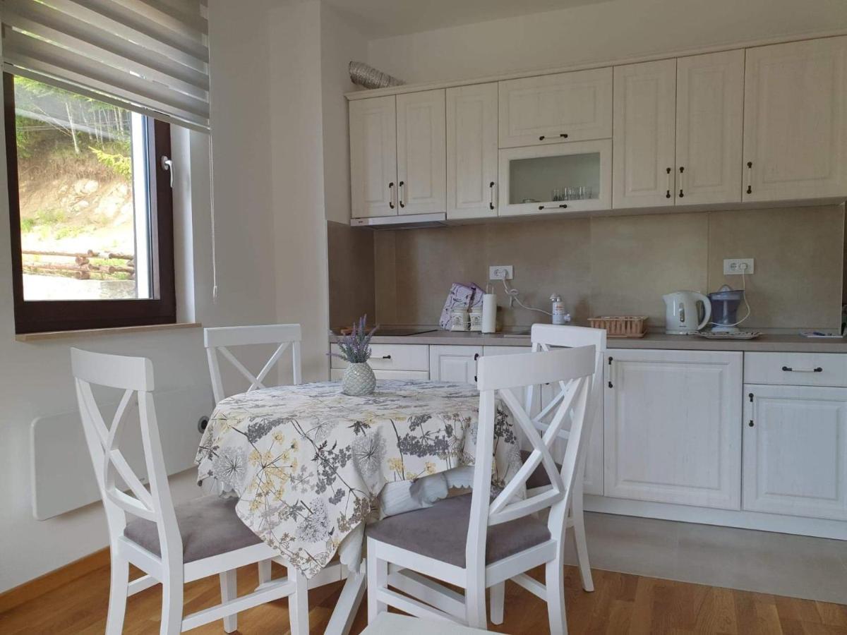 Vila Irina - Apartman Milos Копаоник Екстер'єр фото
