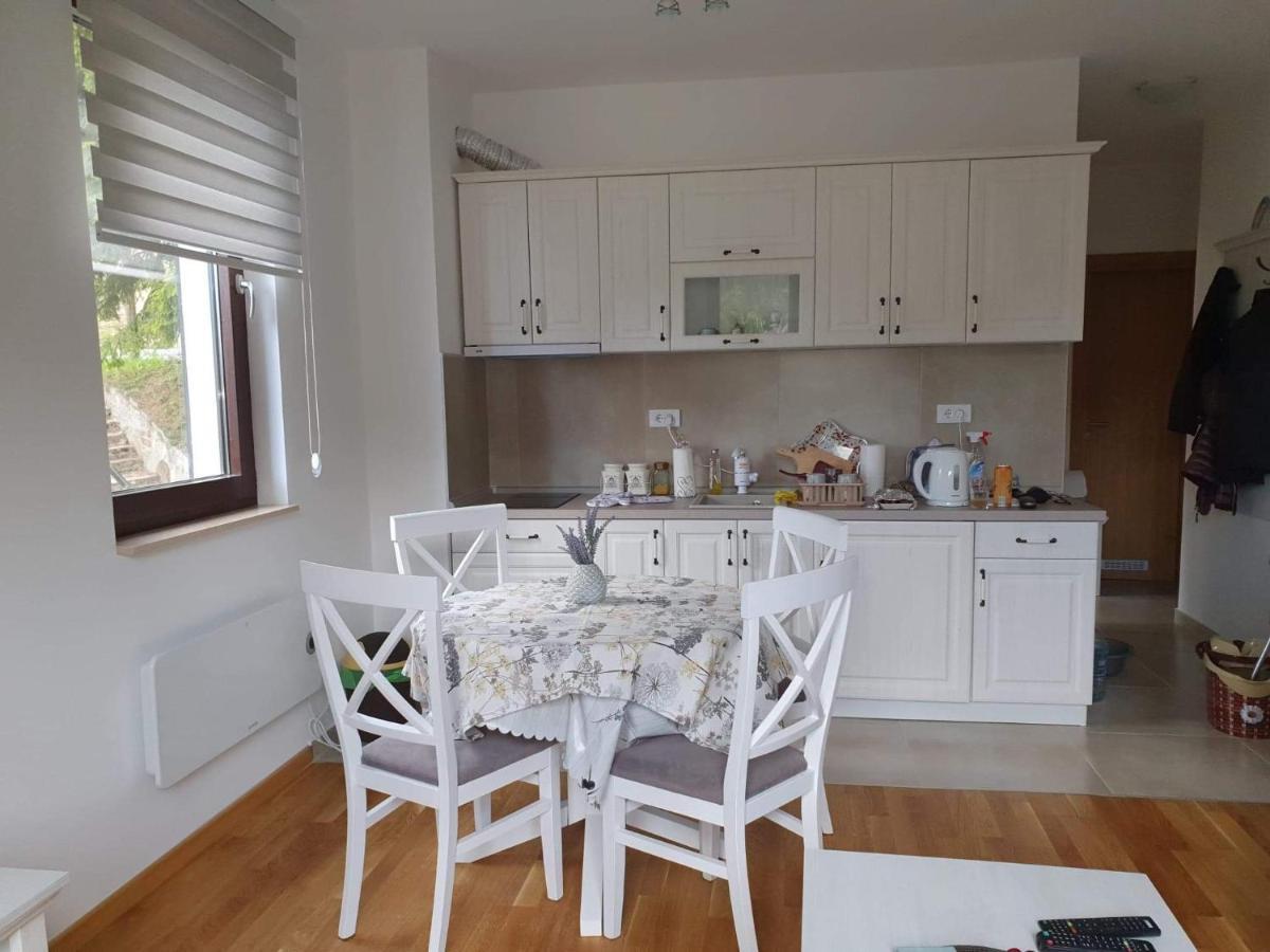 Vila Irina - Apartman Milos Копаоник Екстер'єр фото